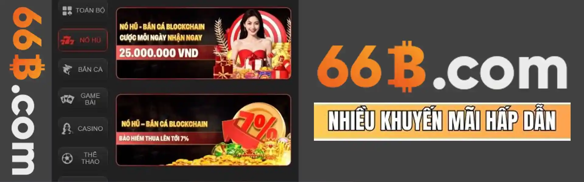 66B Banner