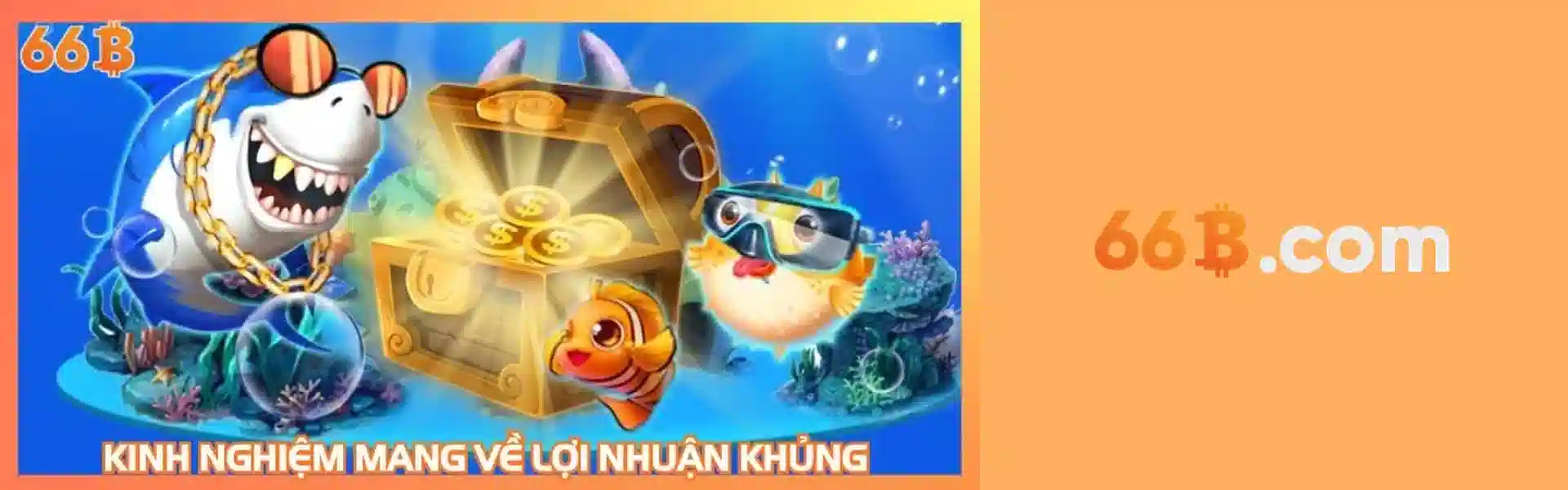66B Banner