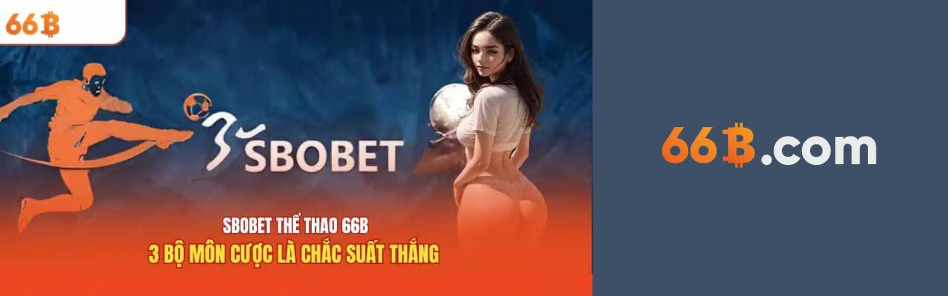 66B Banner