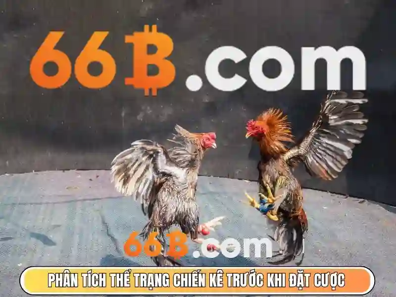 💎slot machine store💎