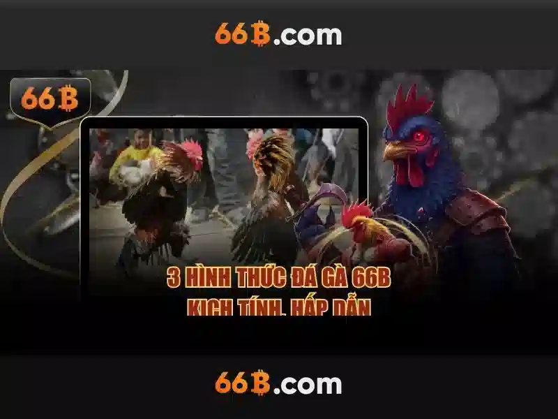 💎nhà hàng king bbq buffet lào cai💎