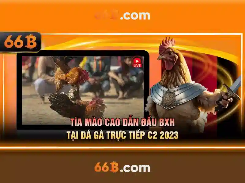 💎what are branded slots💎