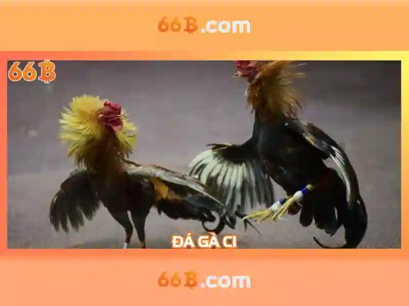 💎keo da bong nha cai💎