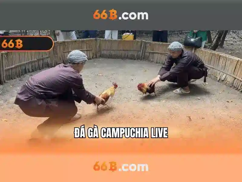 💎red tiger demo slots💎