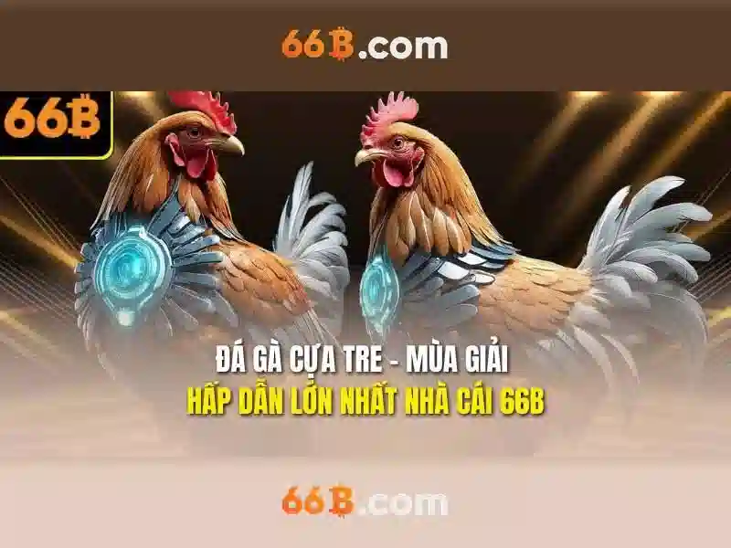 💎link nha cai uy tin💎