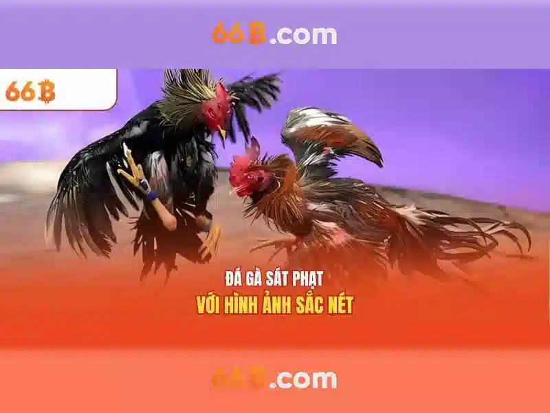 💎nhà cái qh88 clean💎