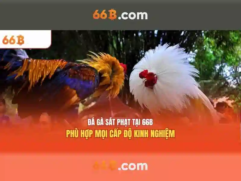 💎rtp slot admin jarwo💎