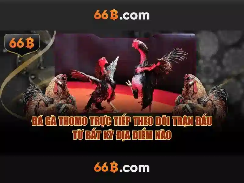 💎cá cược cuộc đời tập 1💎