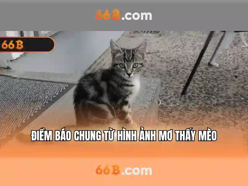 💎backpack slots💎