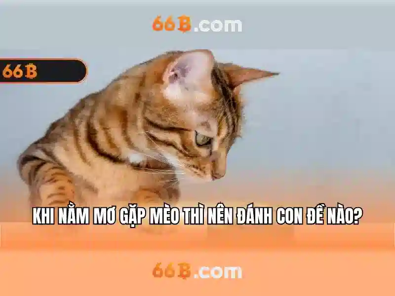 💎nhà cái uy tín 2020💎