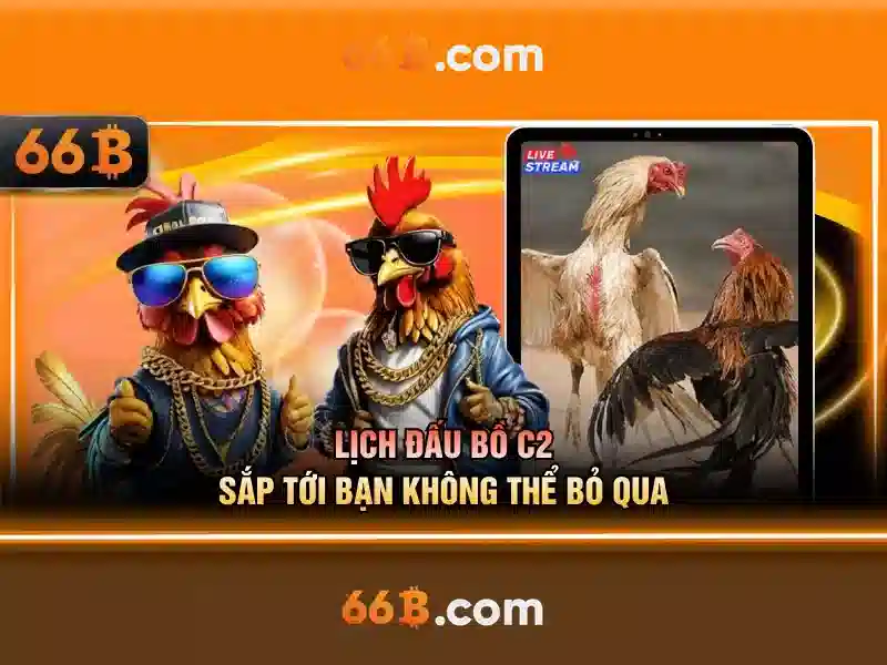 💎nghị định 167 tội đánh bạc💎