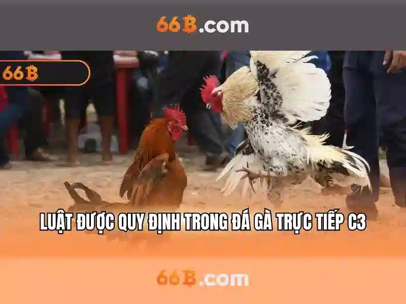 💎xem bong da truc tiếp keo nhà cai💎