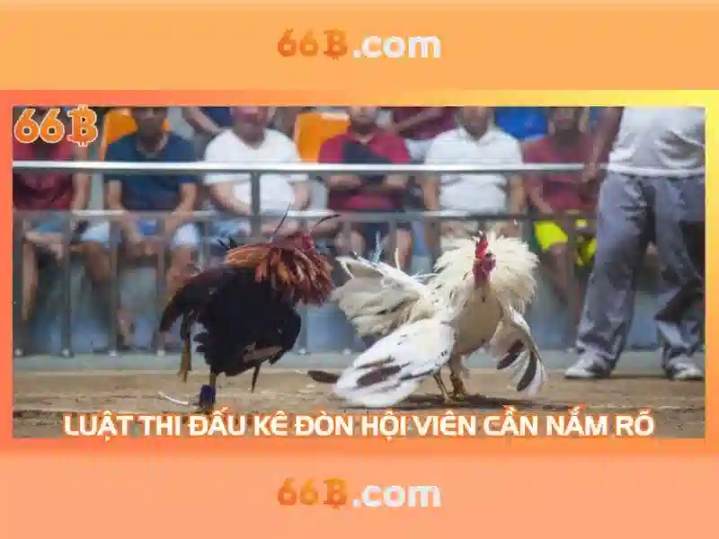 💎cá cuộc bóng đá💎