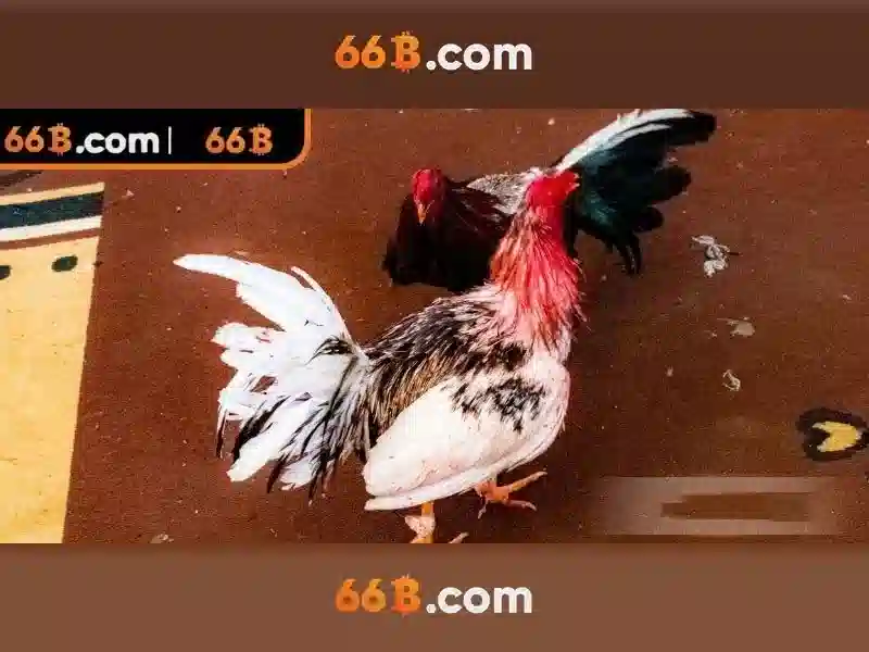 💎slots casino online💎