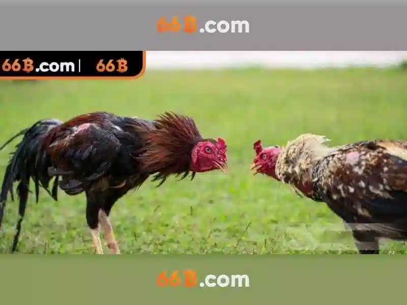 💎american slots💎