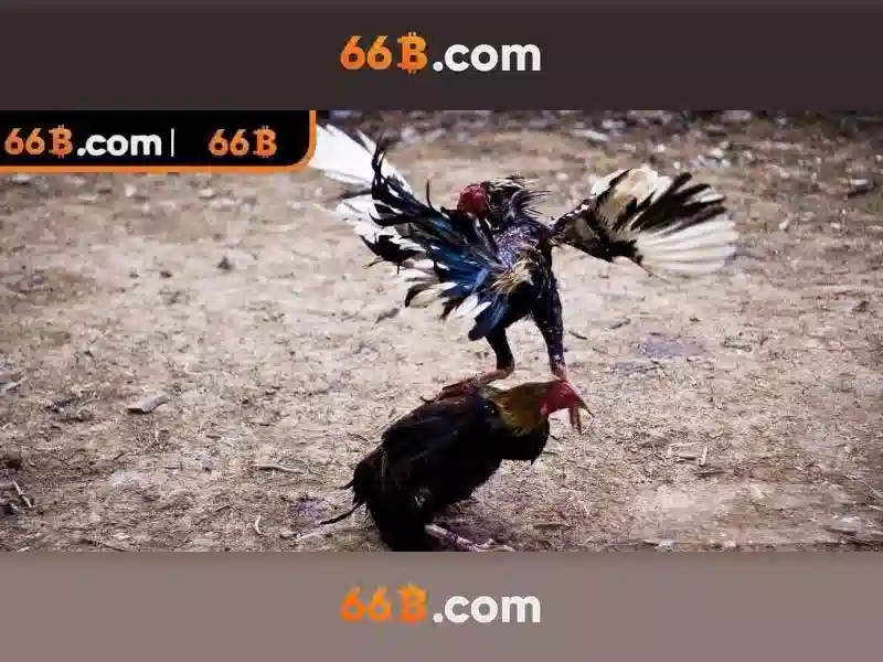 💎vf55 nhà cái💎