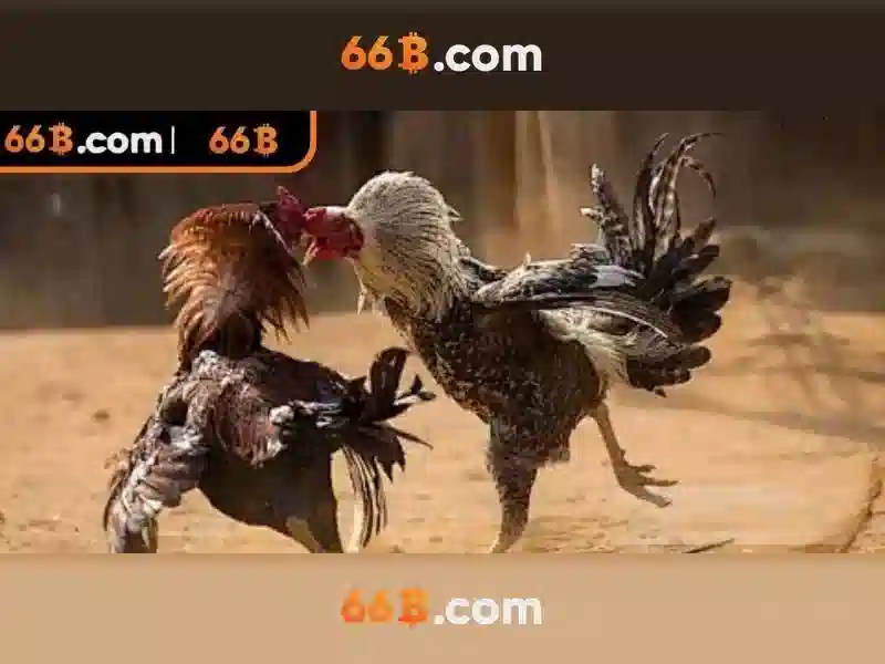 💎aristocrat slots💎