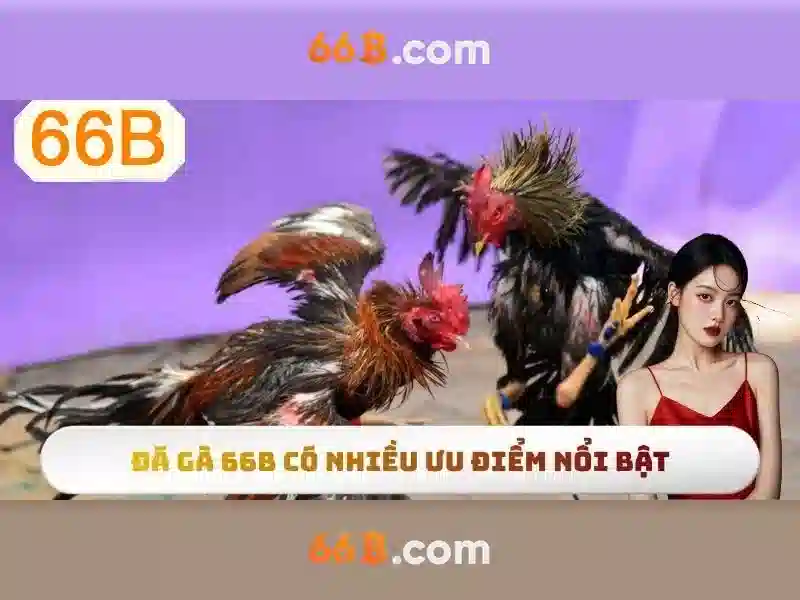 💎trang nha cai so1💎