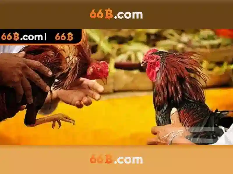 💎bậc thầy võ thuật vịnh xuân song sát đao💎