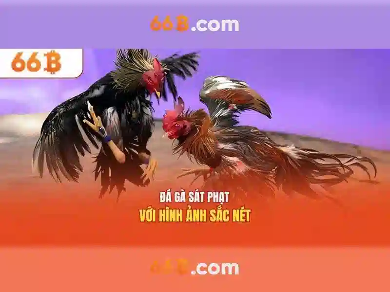 💎shine crown slot💎