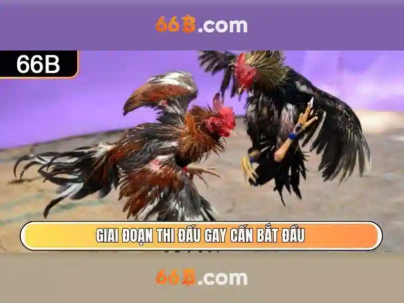 💎big win slot casino💎