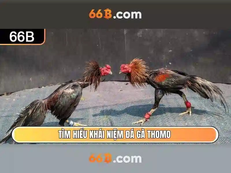 💎sông đổ ra bắc băng dương thường💎