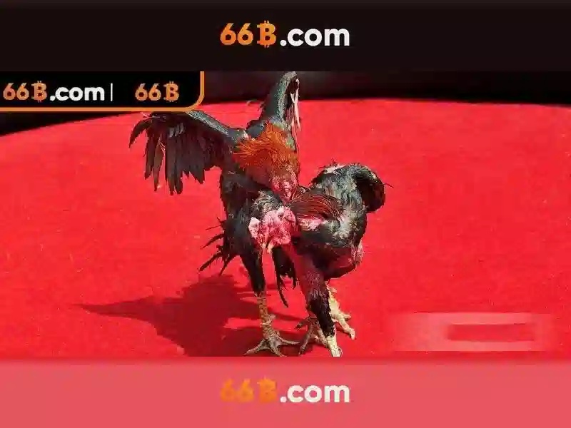 💎casino 777 free slots💎