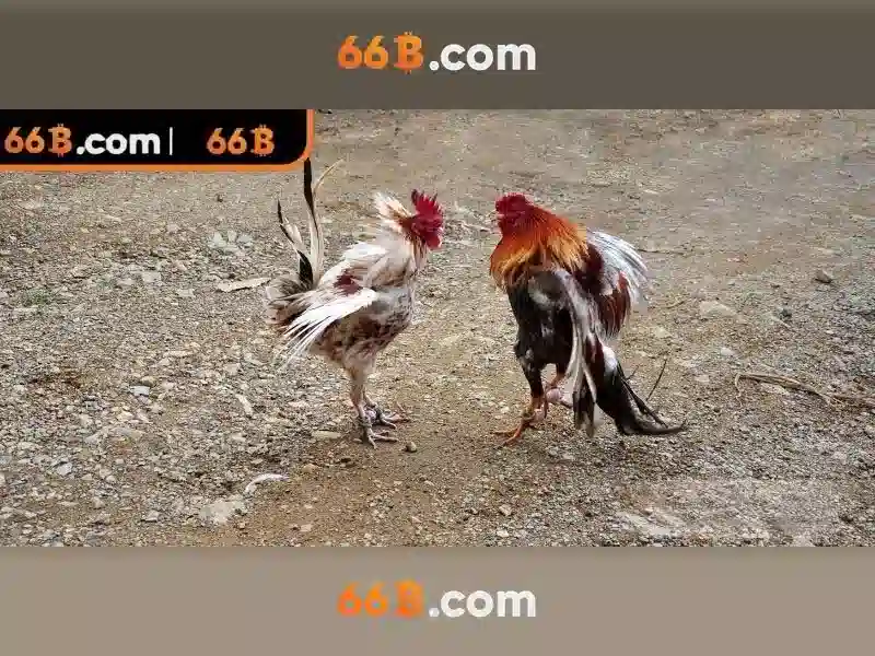 💎lời đắng cho cuộc tình ca nhạc💎