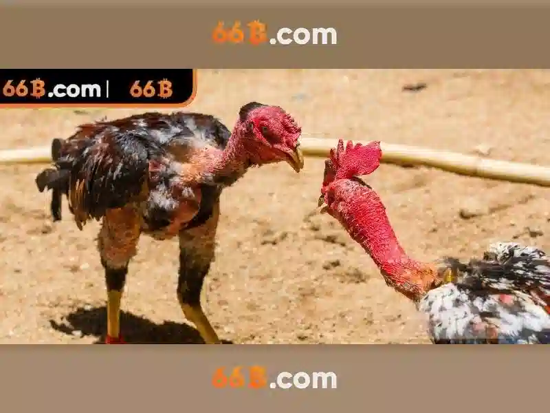 💎free slot machine games download💎