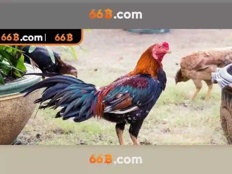 💎slot là gì trong liên quân💎