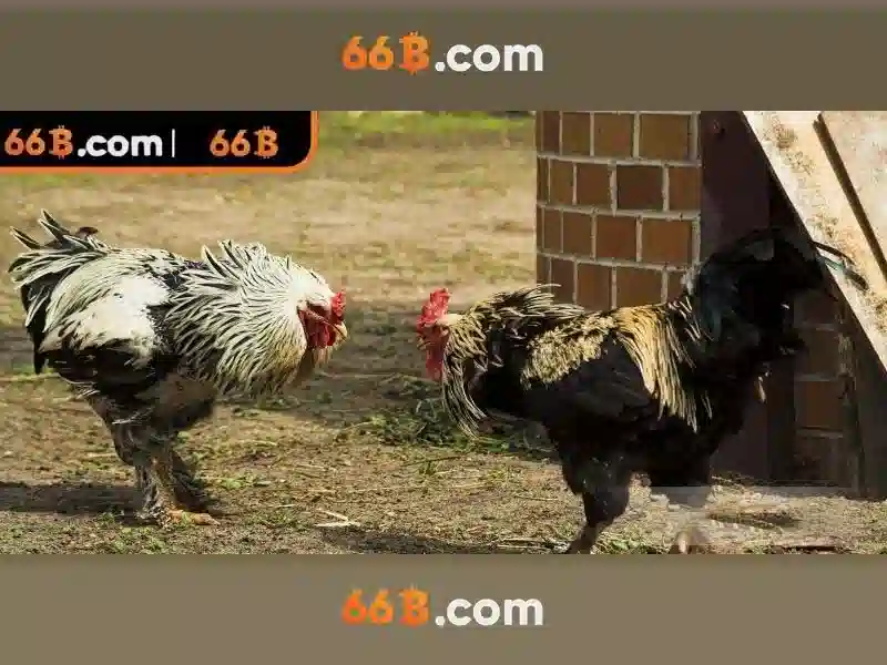 💎nhà cái v8💎