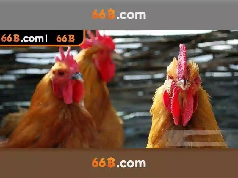 💎secret slots bonus code💎