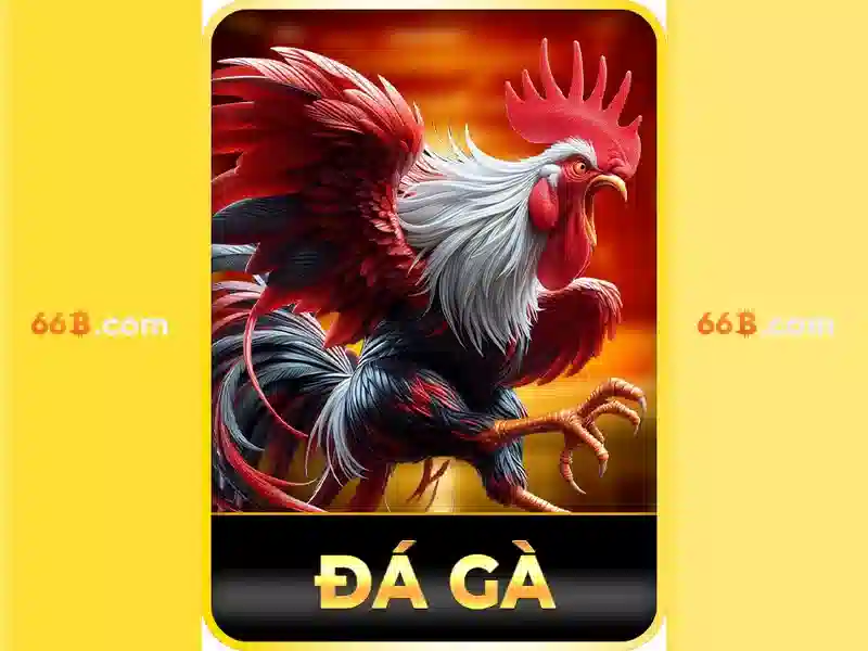 💎expansion cards fit into slots on the💎