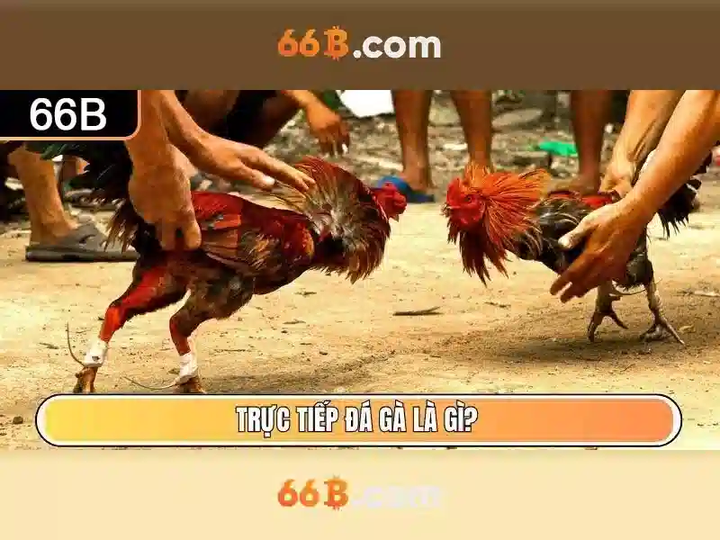 💎hom nay mien bac danh con j💎