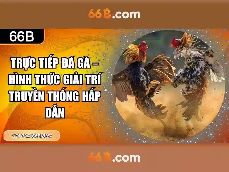 💎nhà cái sin88 lừa đảo💎 - sin88 com - sin88 red