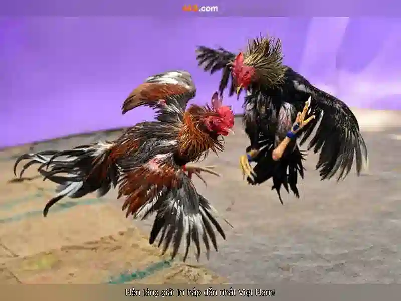 💎dragon spin slot machine how to win💎