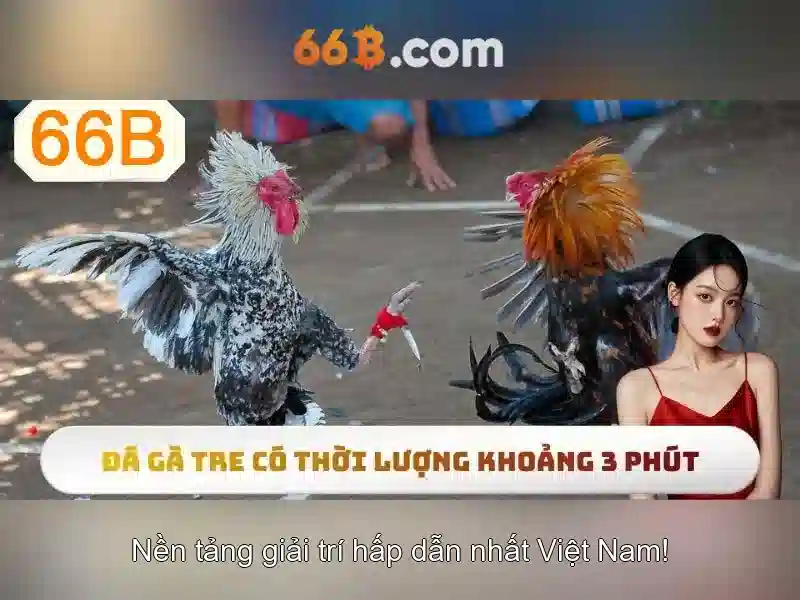 💎kèo nhà cái 5 chấm net💎