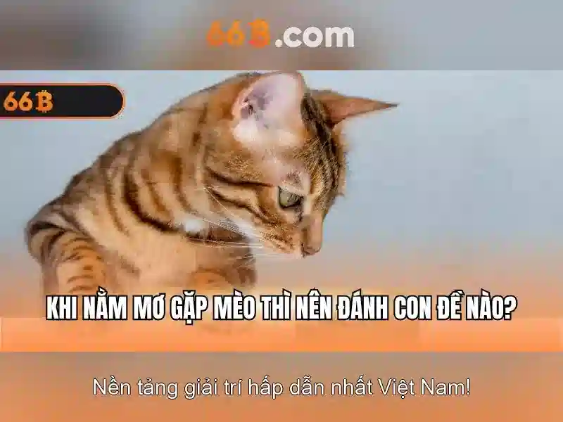 💎cài đặt máy tính tại nhà💎