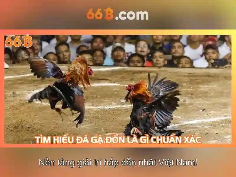 💎cá cược đá gà💎