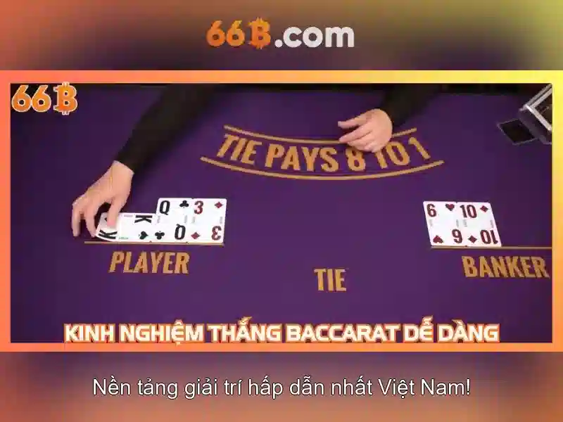 💎tỷ lệ kèo nhà cái 5 tỷ lệ kèo nhà cái 5💎