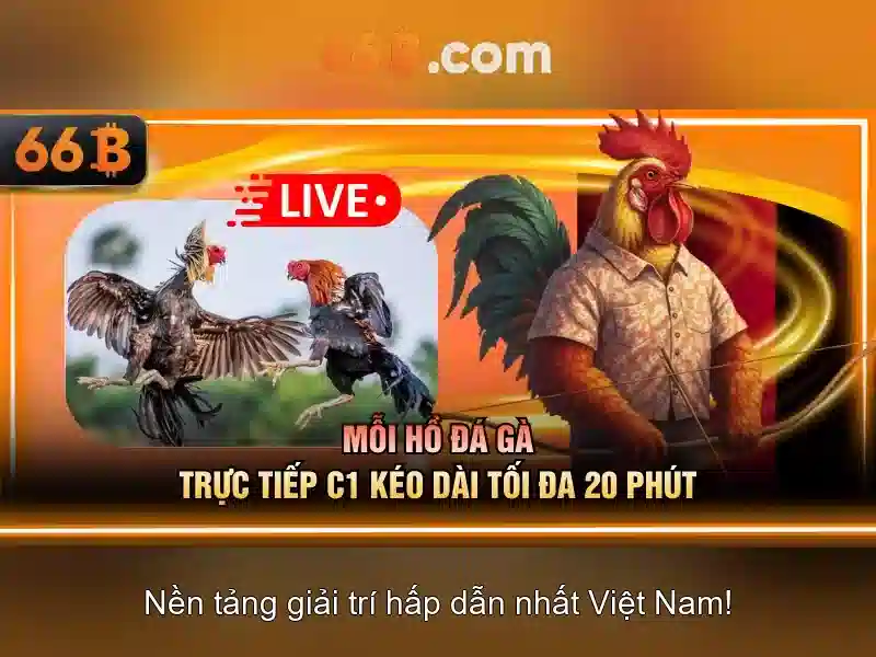 💎trò chơi sòng bạc💎