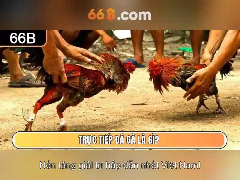 💎slots poland💎