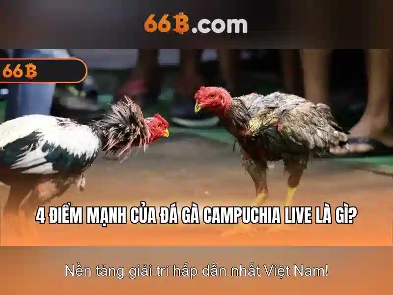 💎cá cược 123b app💎 - nhà cái 123b - nhà cái 123b com đăng nhập