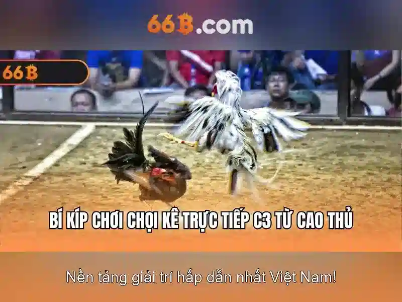 💎cách đánh bạc tại nhà💎