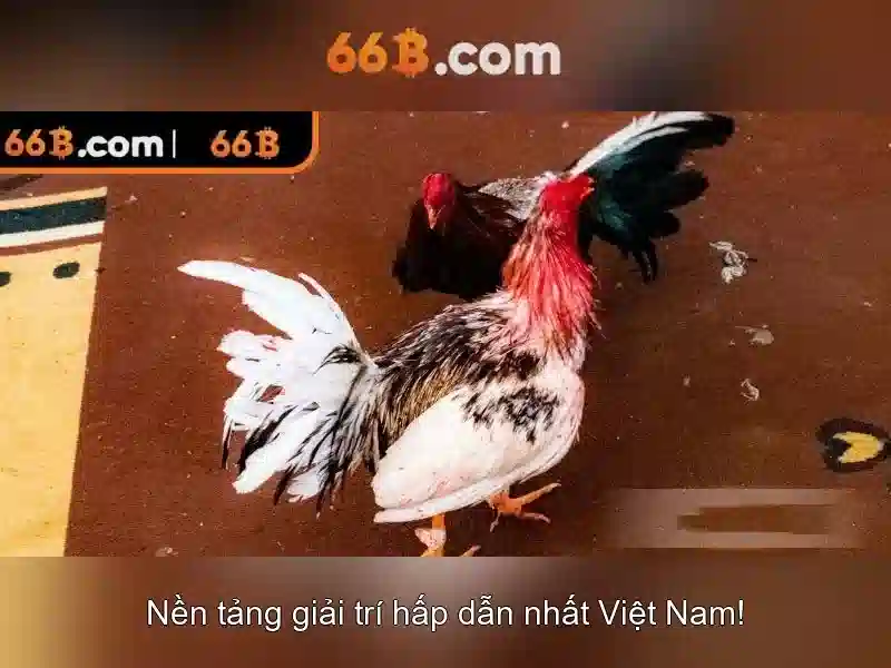💎nhà cái bị bắt💎