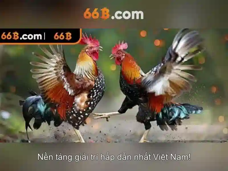 💎cuộc phiêu lưu của rái cá💎