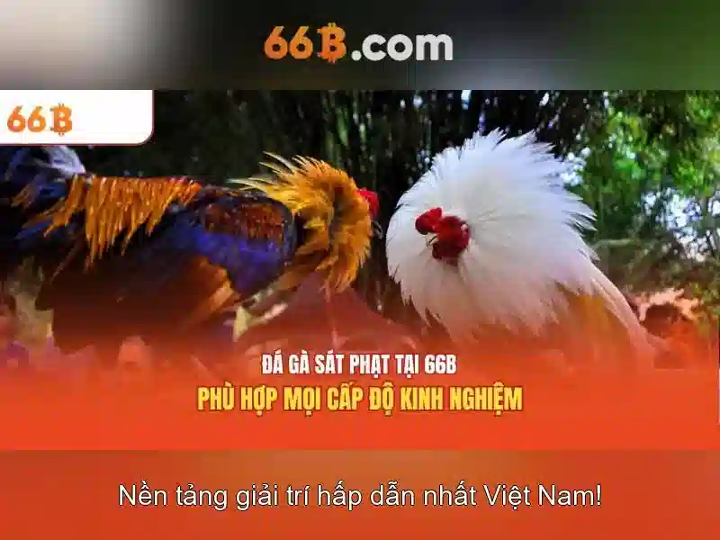 💎tội môi giới đánh bạc💎