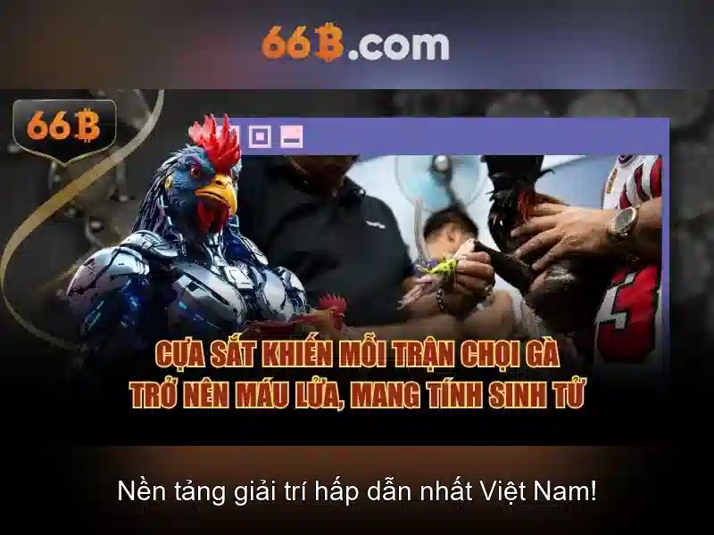 💎tỷ lệ kèo cá cược hôm nay💎