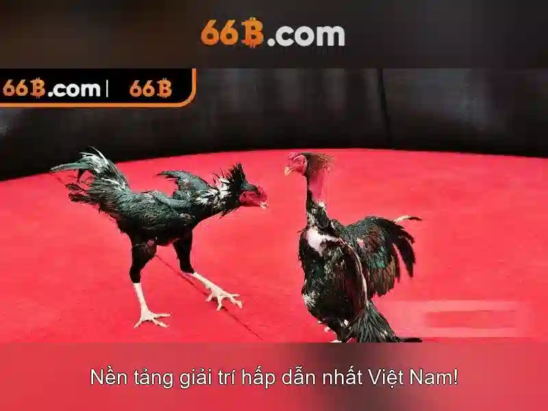 188V - Nhà cái trực tuyến uy tín cho cược thể thao và casino