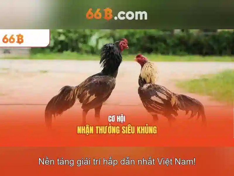 💎keo nha cai nhan dinh bong da💎